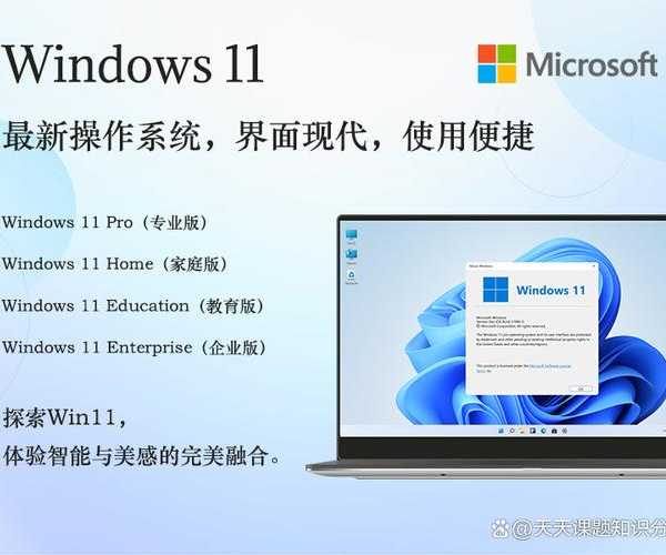 别再手忙脚乱了！这才是Windows11展示的正确打开方式
